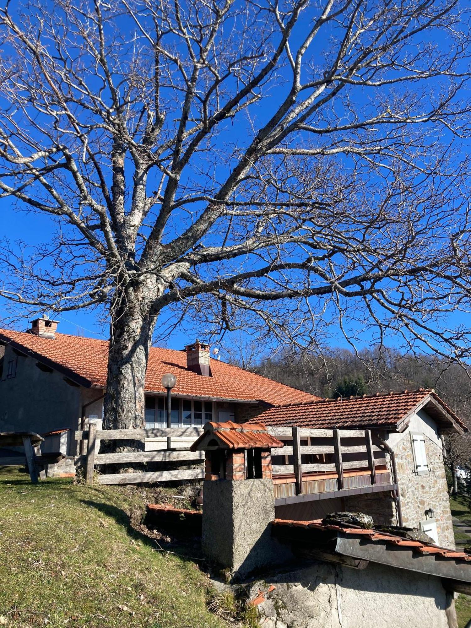 Penzion Casa Sperandini San Marcello Pistoiese Exteriér fotografie