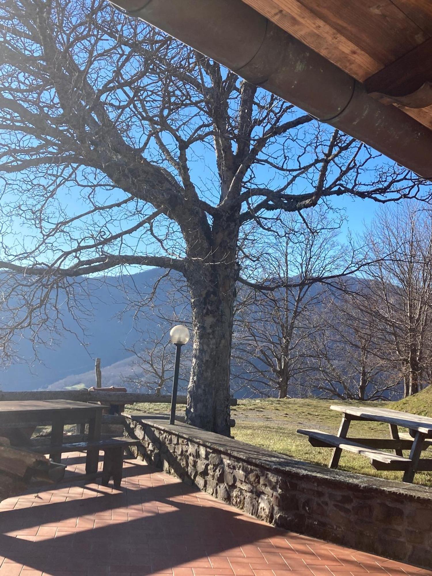 Penzion Casa Sperandini San Marcello Pistoiese Exteriér fotografie
