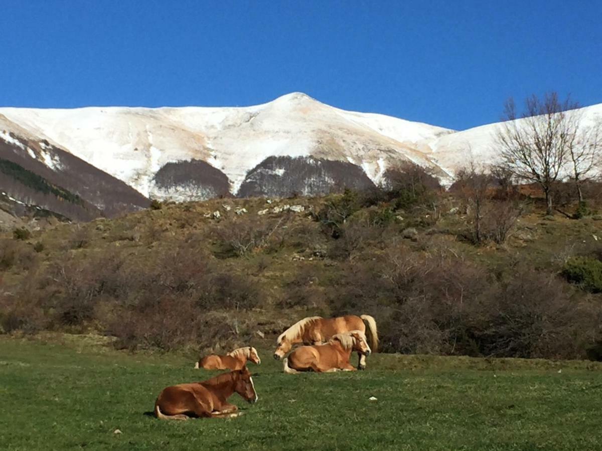 Penzion Casa Sperandini San Marcello Pistoiese Exteriér fotografie
